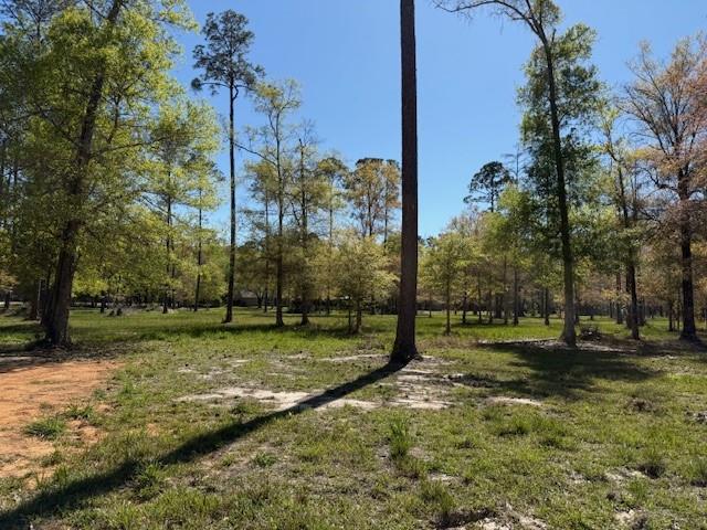 0 Cypress Pond Road Mandeville, LA 70448 - Photo 4 of 5