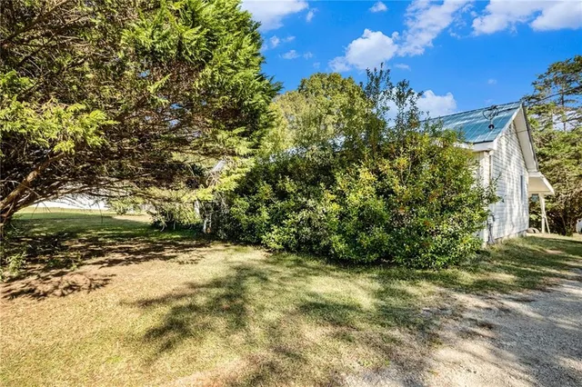 a view of a yard with plants and trees