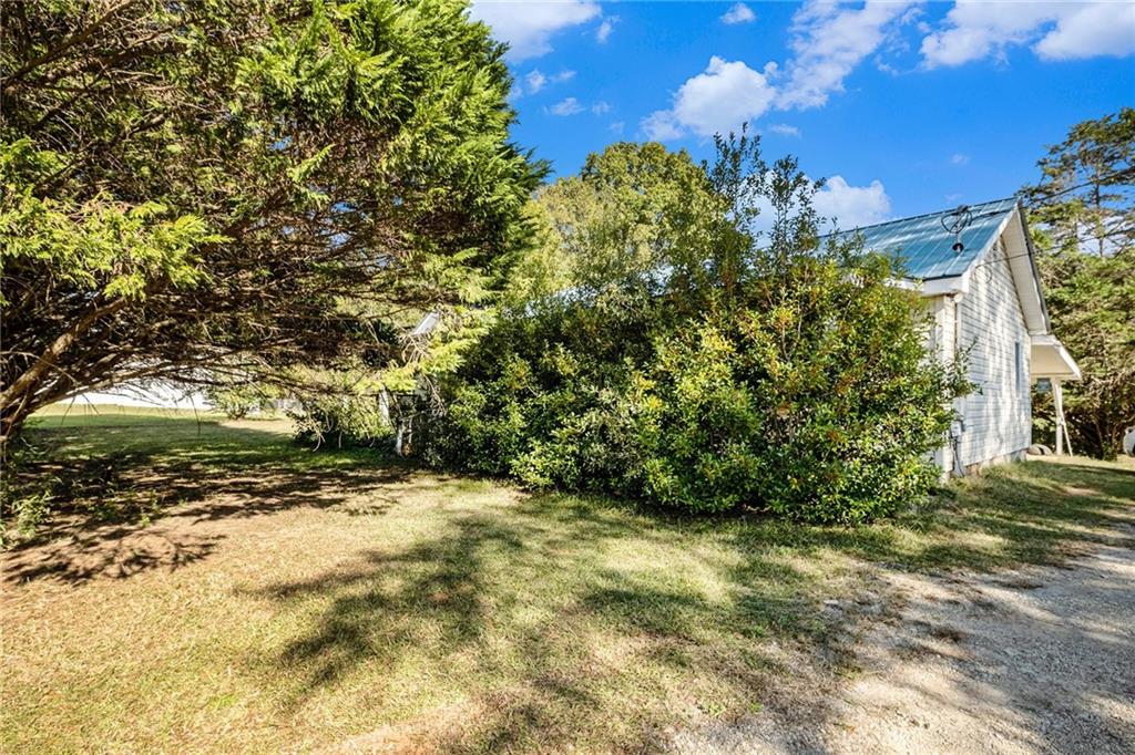 5831 Mize Road Toccoa, GA 30577 - Photo 16 of 28 a view of a yard with plants and trees