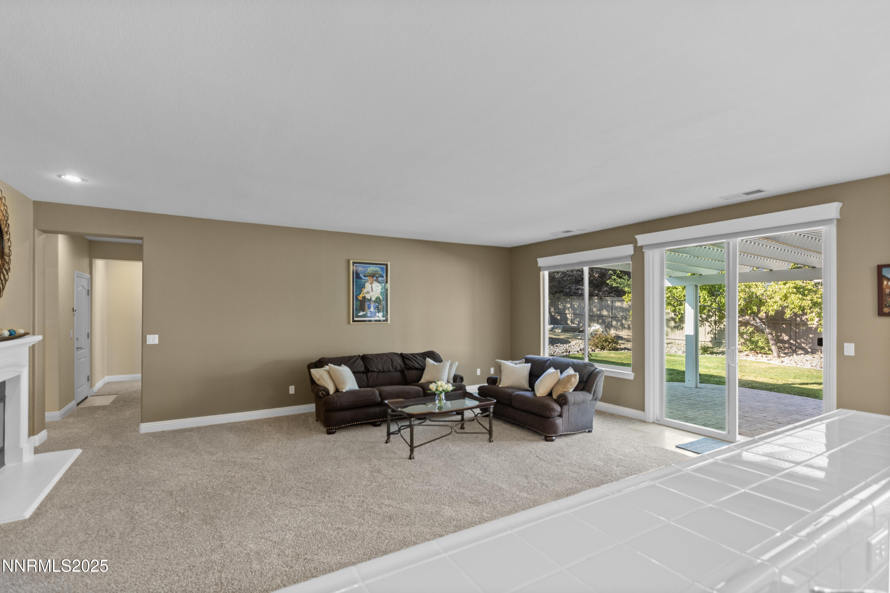 650 Caspian Court Reno, NV 89521 - Photo 20 of 40 21-IMG_3808