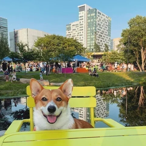 $2,900 | 2 Earhart Street, Unit 720, Cambridge, MA 02141