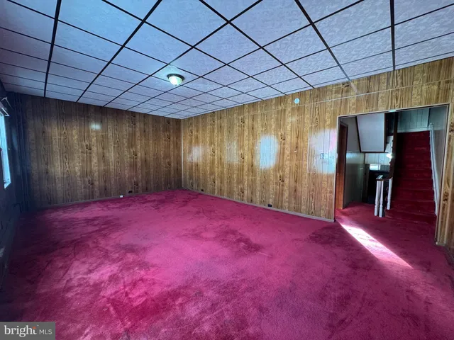 a view of a yard with plants and large trees