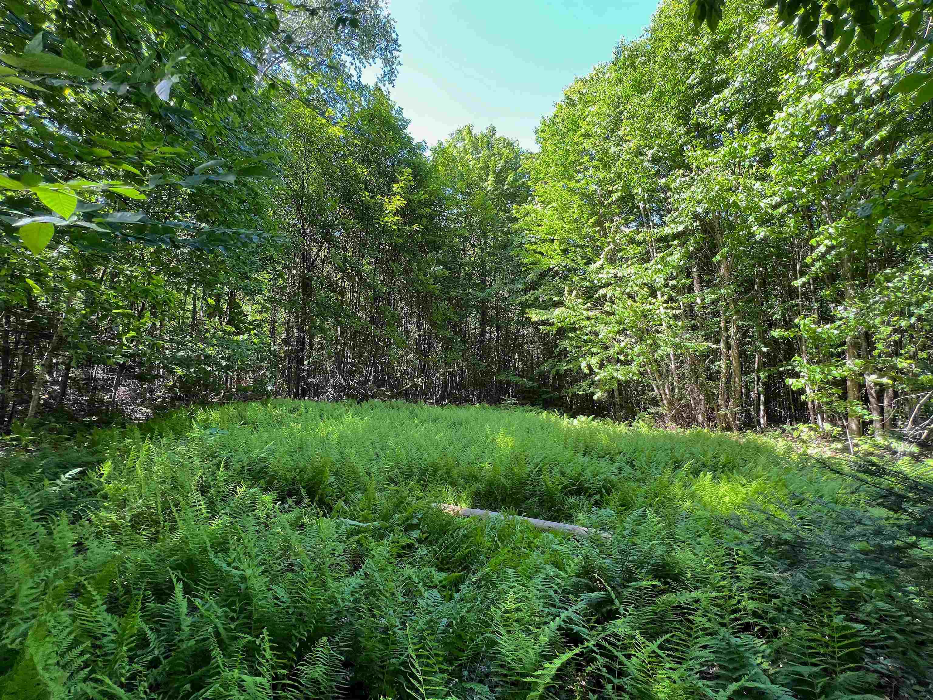 649 Mud Road Charleston, VT 05846 - Photo 26 of 42 Gallery Image 26