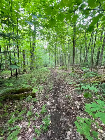 $169,000 | 649 Mud Road, Charleston, VT 05846