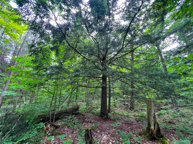 $169,000 | 649 Mud Road, Charleston, VT 05846