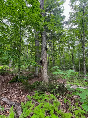 $169,000 | 649 Mud Road, Charleston, VT 05846