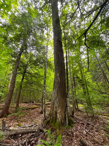 $169,000 | 649 Mud Road, Charleston, VT 05846