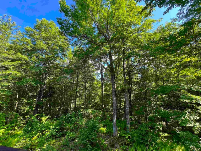 $169,000 | 649 Mud Road, Charleston, VT 05846