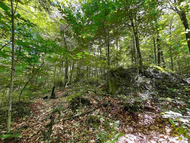 $169,000 | 649 Mud Road, Charleston, VT 05846