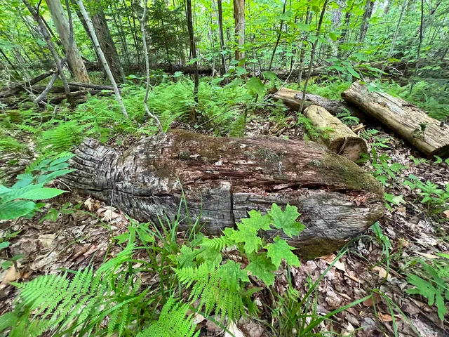 $169,000 | 649 Mud Road, Charleston, VT 05846