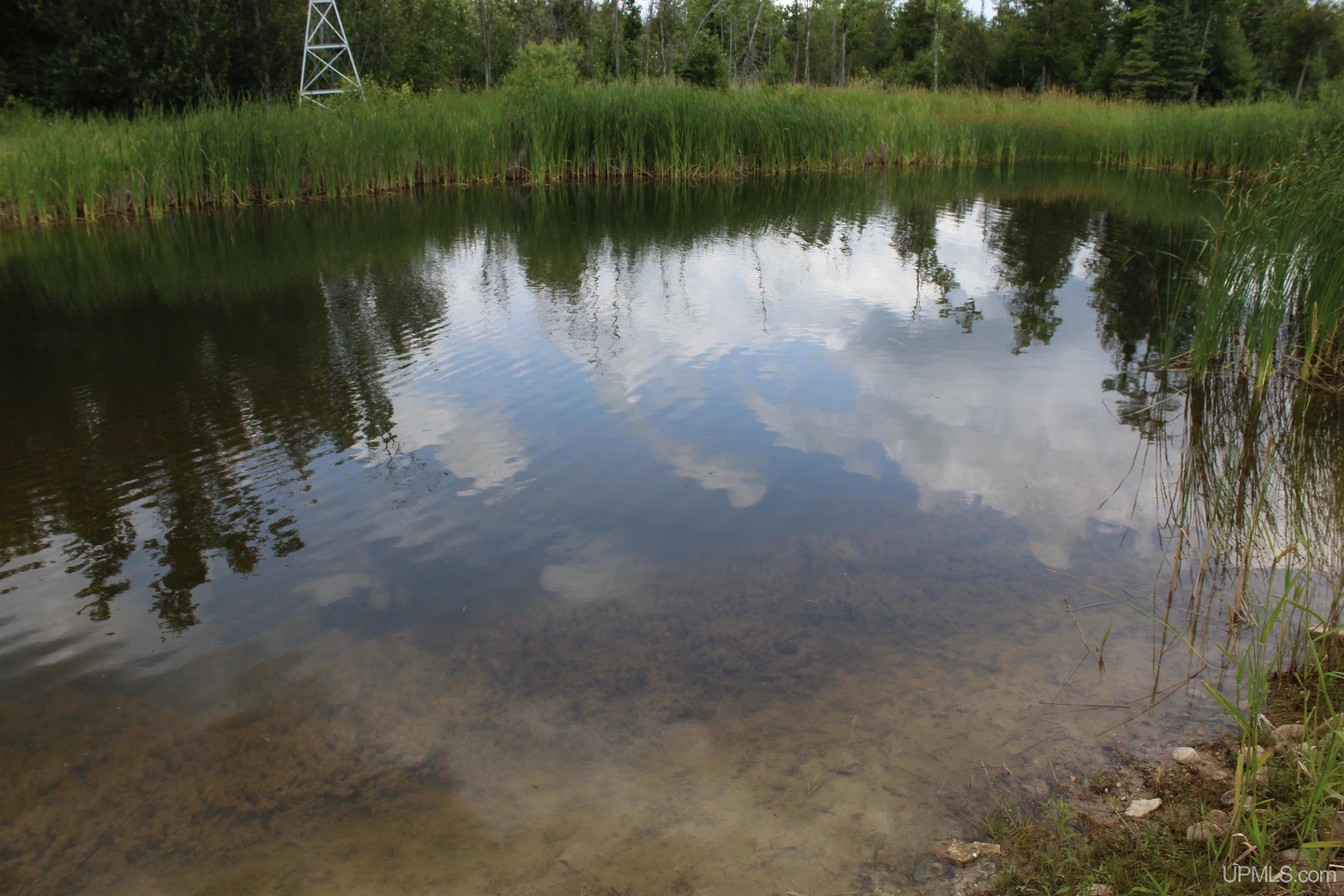 W2588 31 Lane Daggett, MI 49821 - Photo 55 of 58
