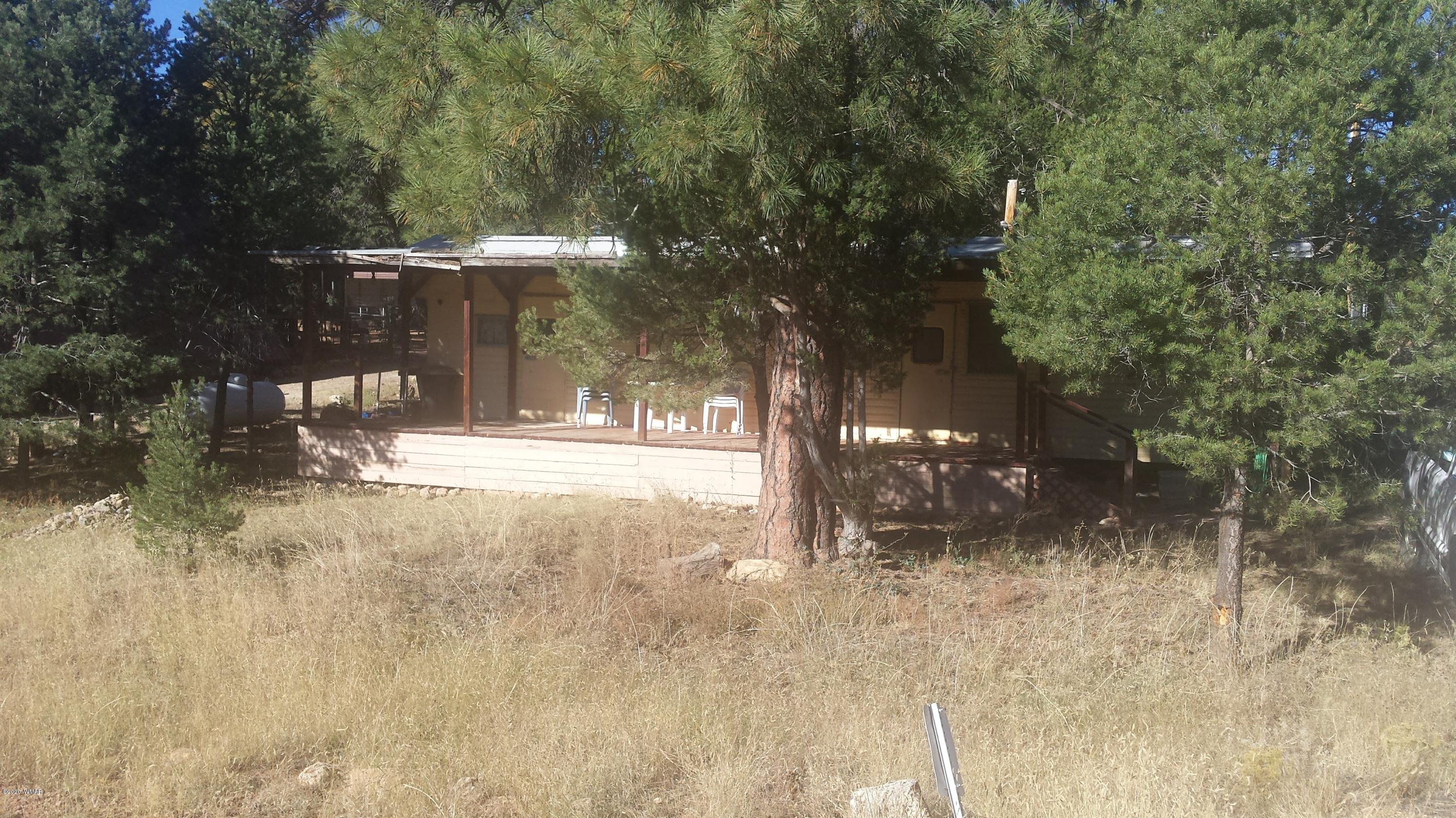 a view of outdoor space and trees