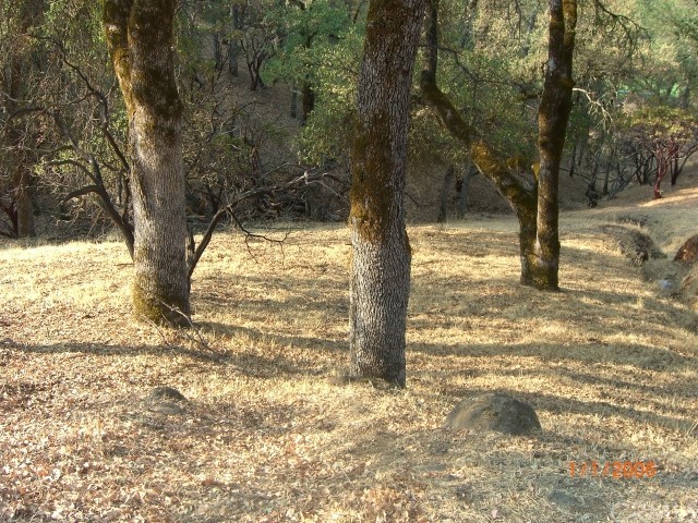 19817 Powder Horn Road Hidden Valley Lake, CA 95467 - Photo 1 of 1 Gallery Image 1