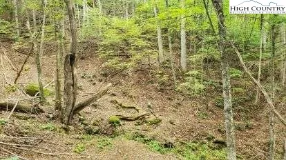 $32,500 | Fall Creek Meadows Fall Creek Meadows, Elk Park, NC 28622