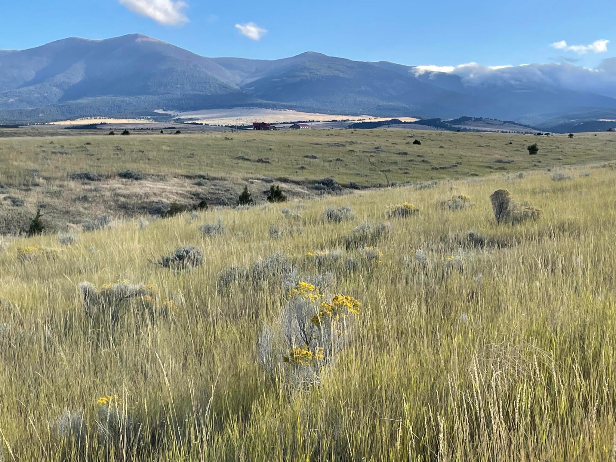 Tbd South Fork Ray Crk Road Townsend, MT 59644 - Photo 6 of 15 38E9D53E-AA09-4766-8A36-4983FB6E7D19