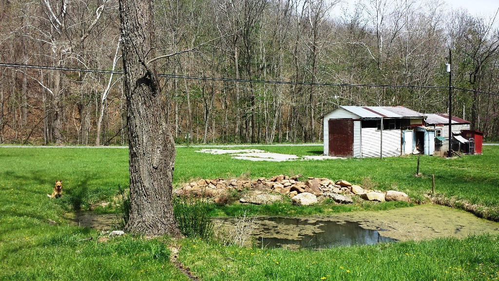 Clayton Road Alderson, WV 24910 - Photo 27 of 43 Gallery Image 27