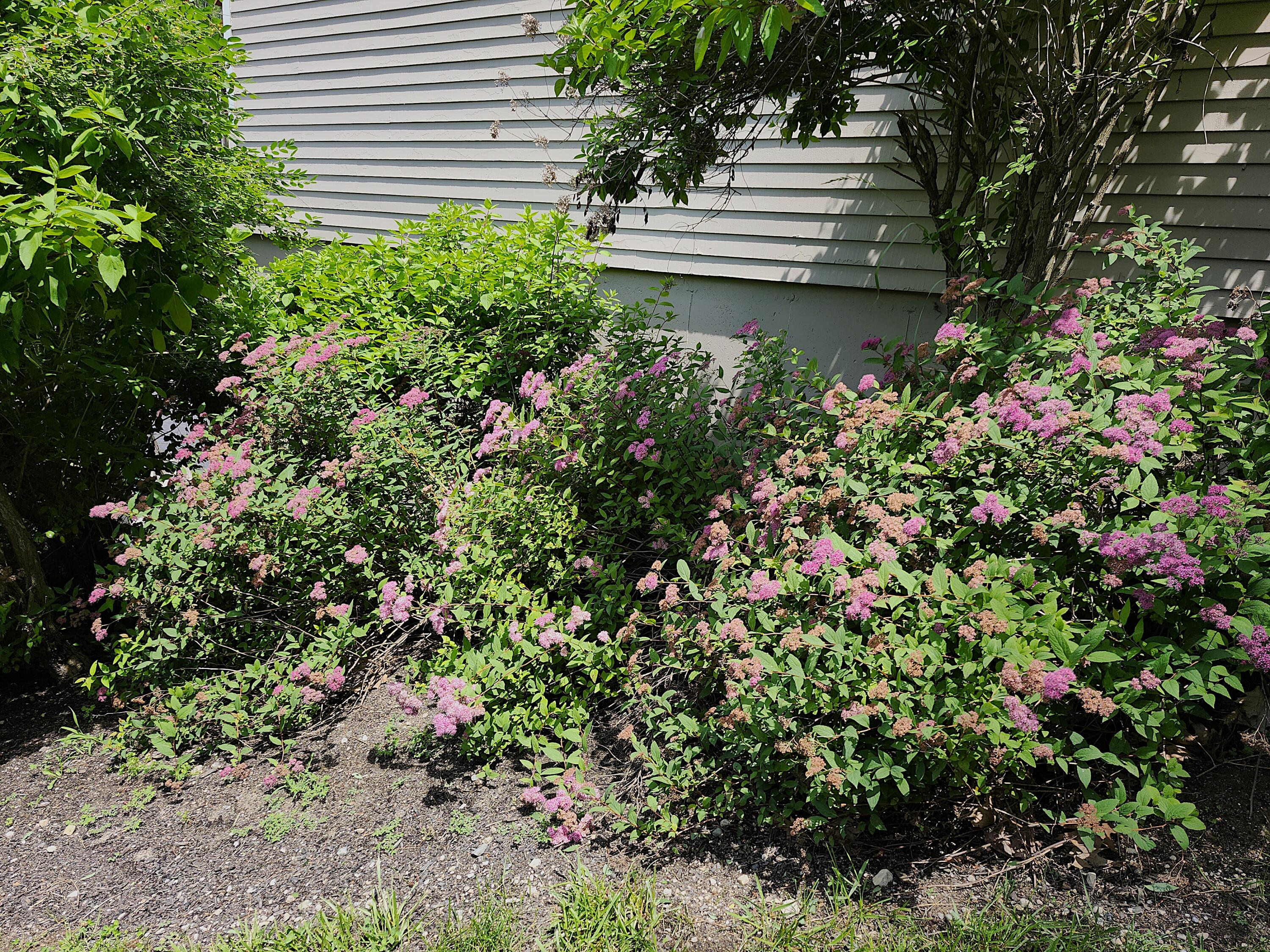 56 Hydrangea Circle, Unit 10 Naples, ME 04055 - Photo 43 of 74 20260627_124443