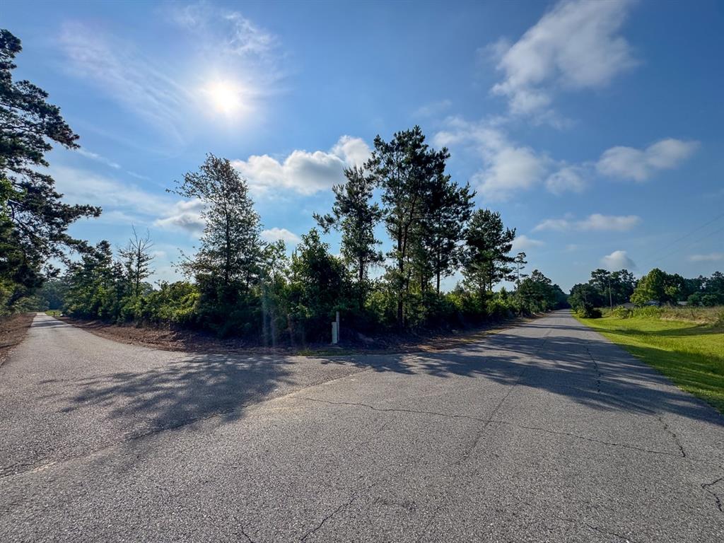 T-1 Ellis West Road Pitkin, LA 70656 - Photo 12 of 18