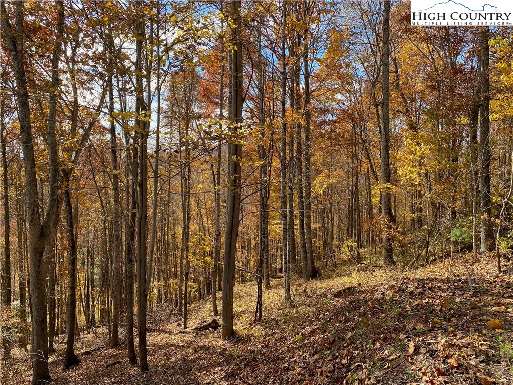 Lot 30 Pinnacle Ridge Road Todd, NC 28684 - Photo 1 of 11 Gallery Image 1
