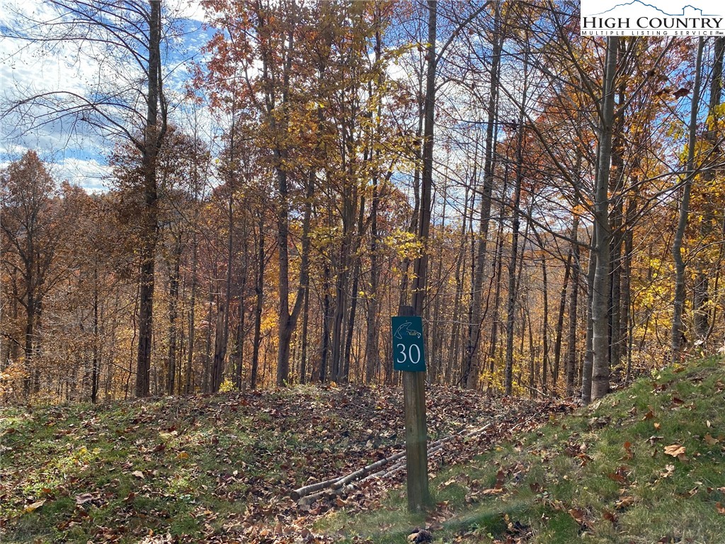 Lot 30 Pinnacle Ridge Road Todd, NC 28684 - Photo 2 of 11 Gallery Image 2