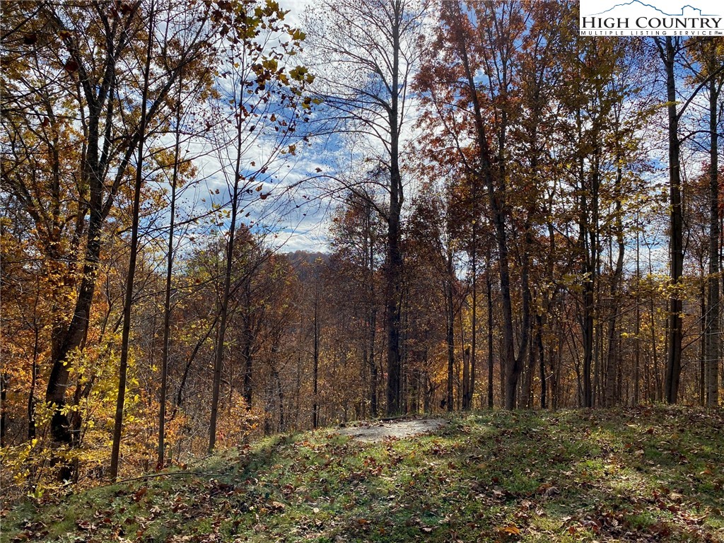 Lot 30 Pinnacle Ridge Road Todd, NC 28684 - Photo 7 of 11 Gallery Image 7