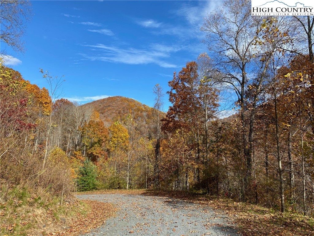Lot 30 Pinnacle Ridge Road Todd, NC 28684 - Photo 8 of 11 Gallery Image 8
