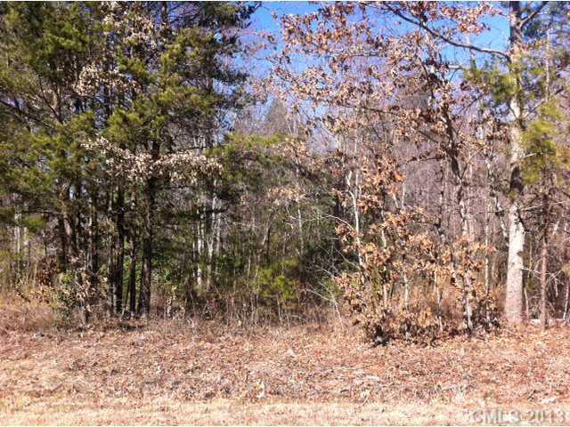 0 County Line Road Hickory, NC 28602 - Photo 1 of 1 Gallery Image 1