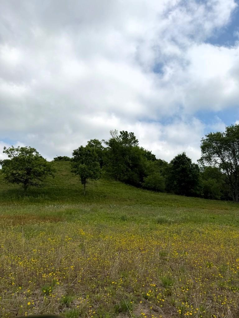 Lot 2 County Road Boyceville, WI 54725 - Photo 10 of 12