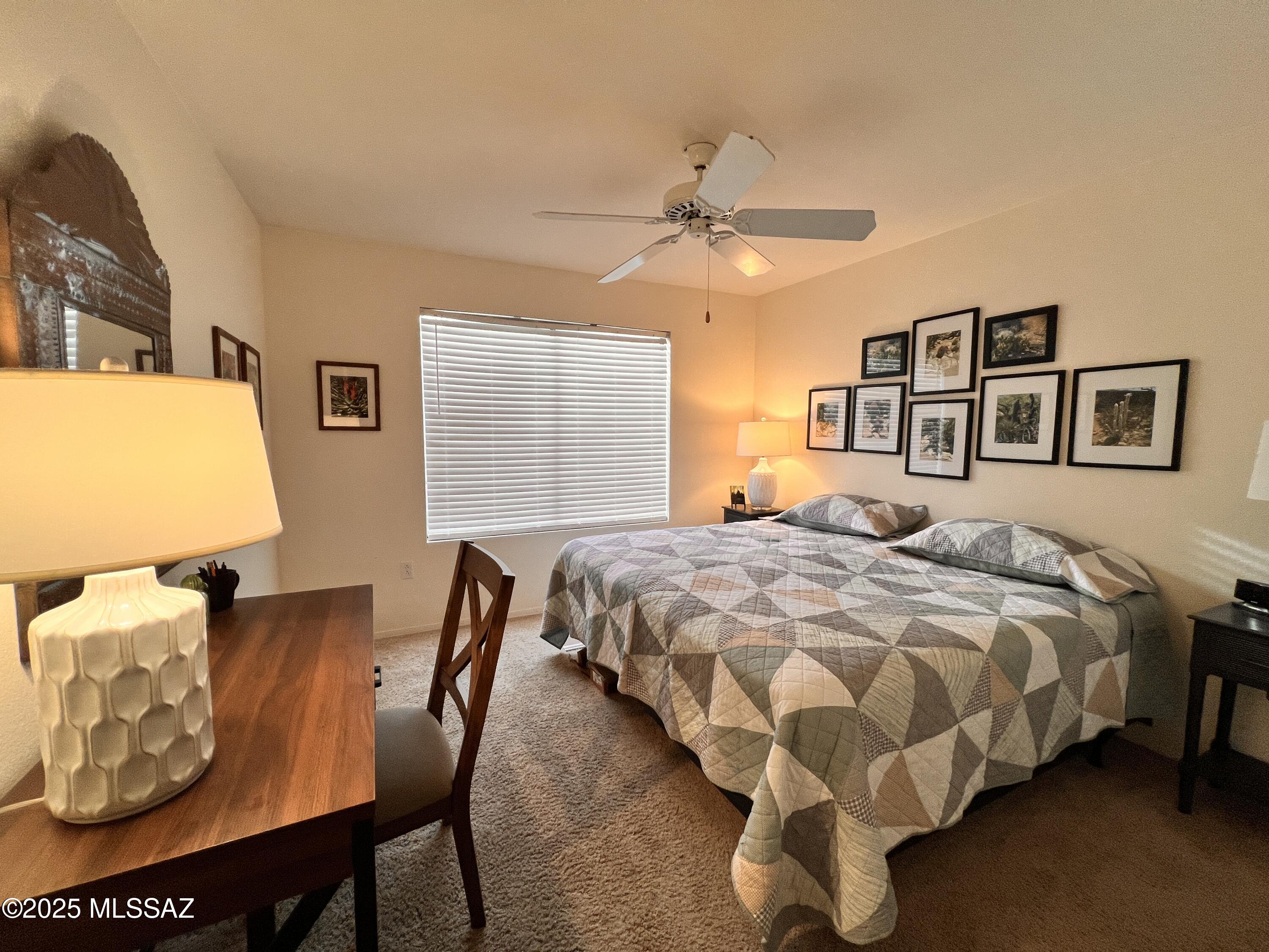 7255 East Snyder Road, Unit 7204 Tucson, AZ 85750 - Photo 20 of 29 IMG_6215