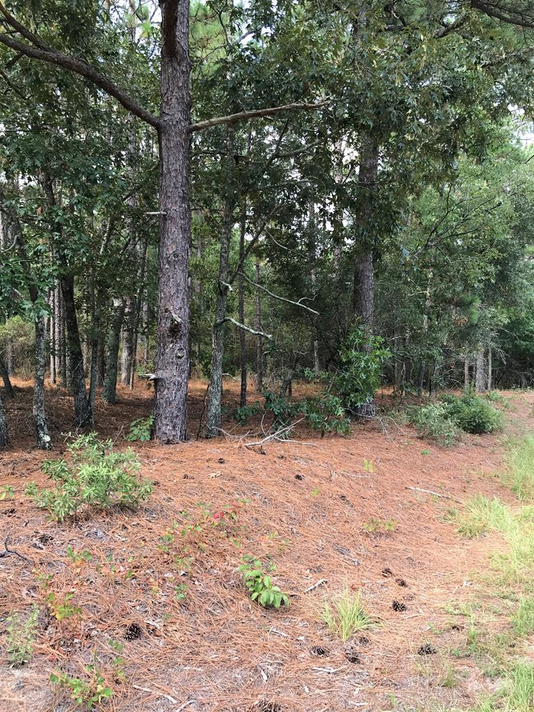 1022 Wrights Mill Road Aiken, SC 29801 - Photo 7 of 7