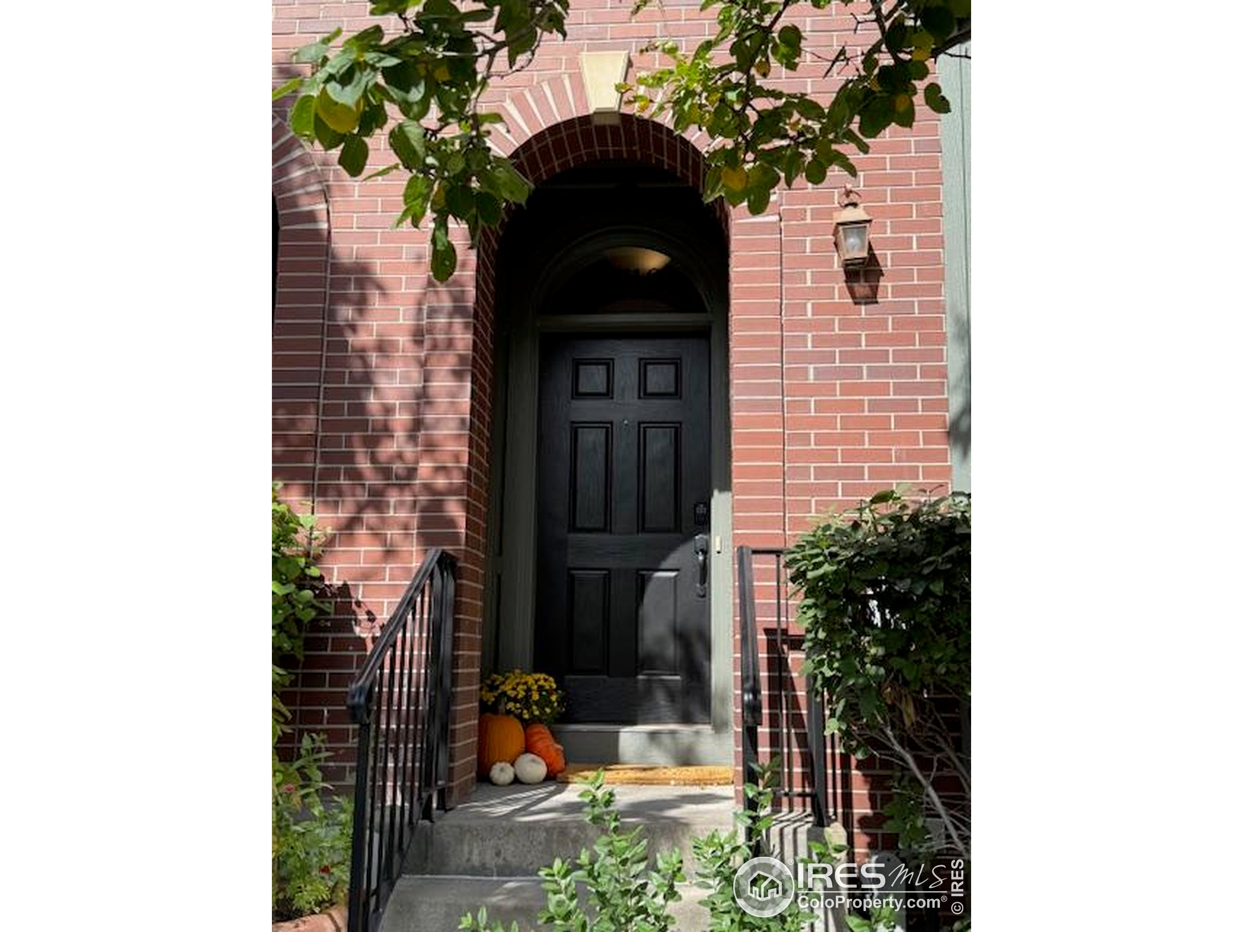 a front view of a house with a tree