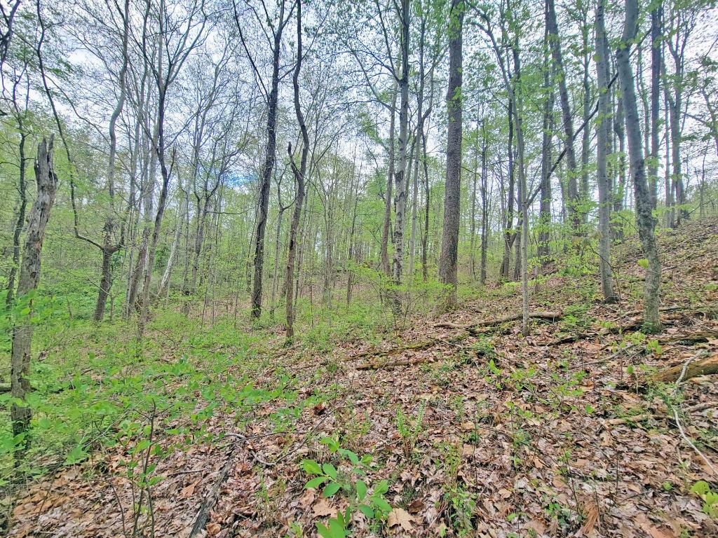 Lot 5 Tennant Road Ray, OH 45672 - Photo 10 of 12 09