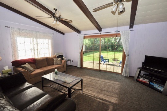 4520 College Road South Euclid, OH 44121 - Photo 9 of 22