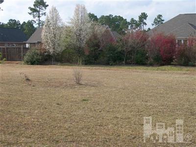 2821 White Road Wilmington, NC 28411 - Photo 11 of 13 Additional Photo