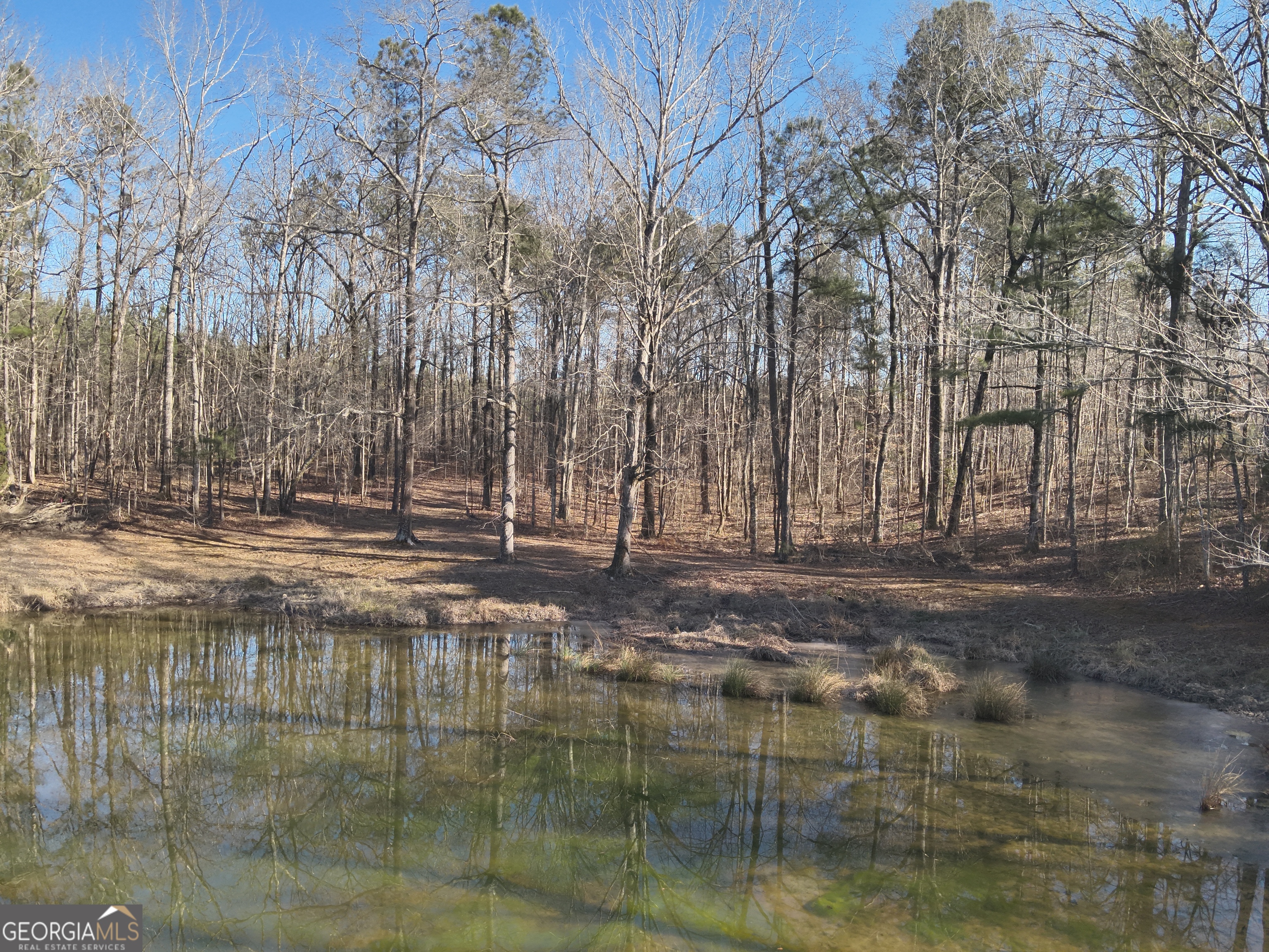 142 Wilson Way Musella, GA 31066 - Photo 13 of 39