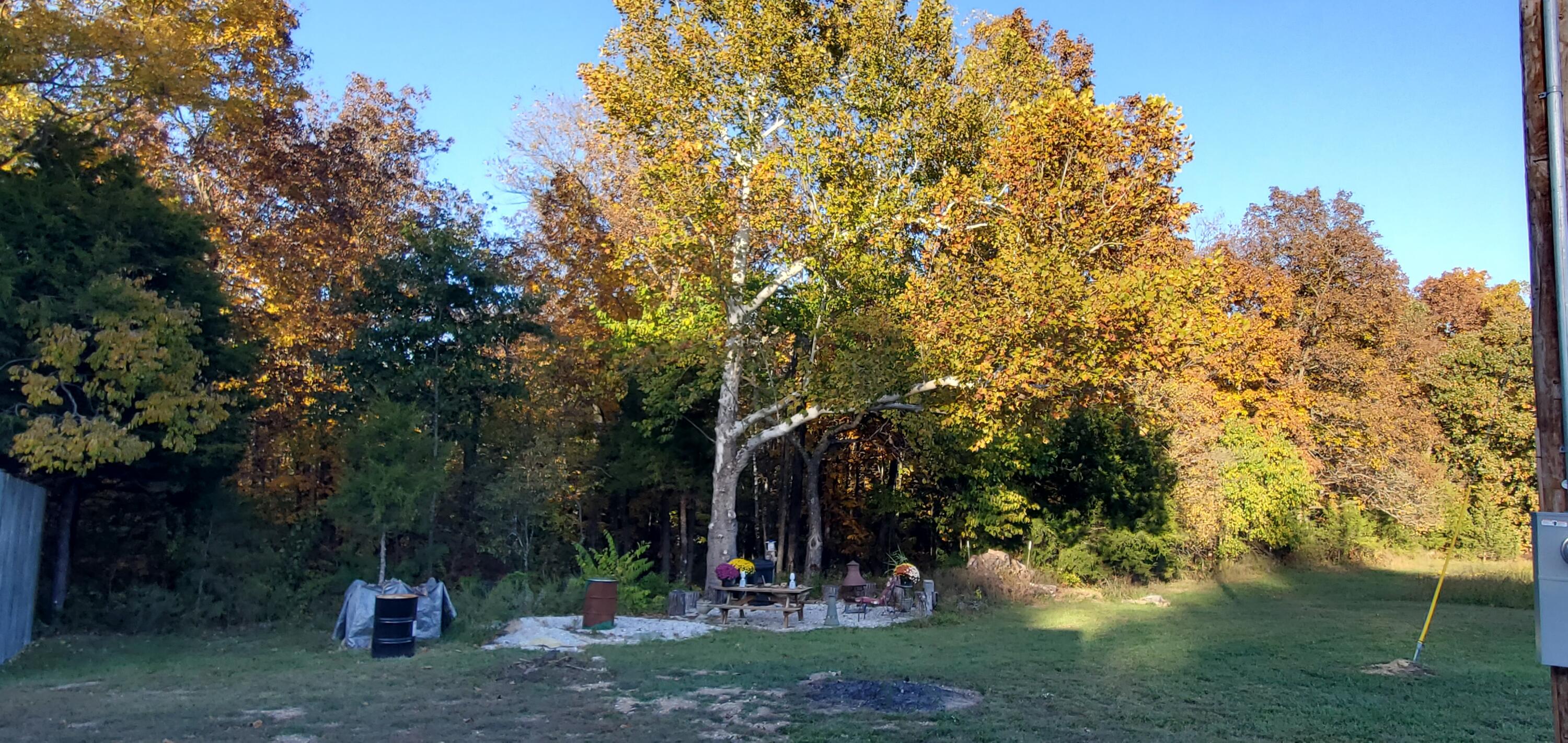 4775 South 50th Road Aldrich, MO 65601 - Photo 204 of 306 20231022_171558