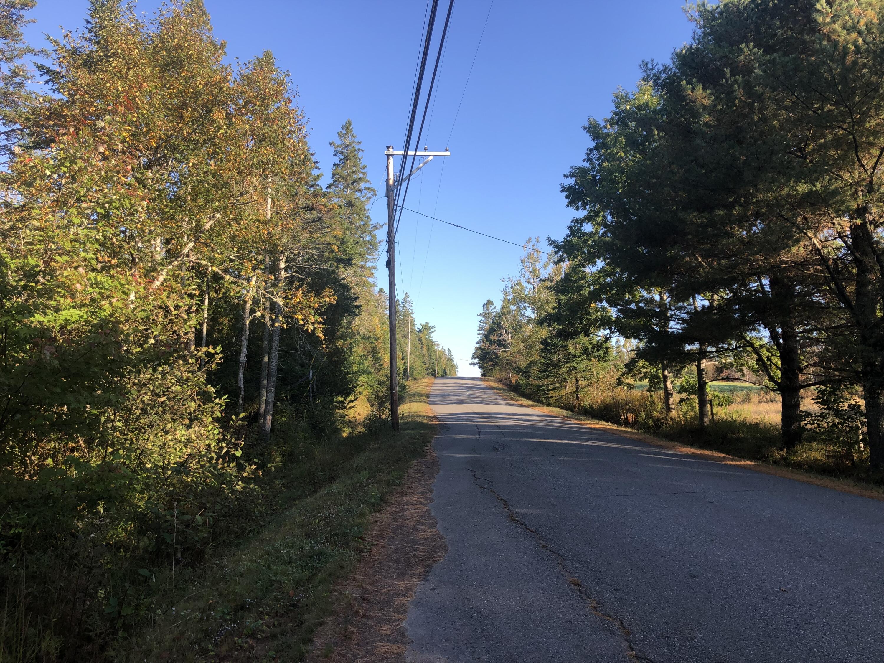 0 Shore Road Perry, ME 04667 - Photo 8 of 9 IMG_0232