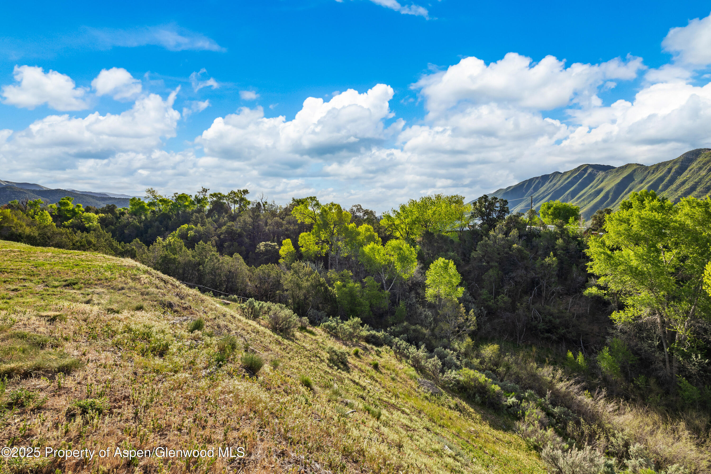 393 Faas Ranch Road New Castle, CO 81647 - Photo 7 of 11 06-393 Faas Ranch Rd-6