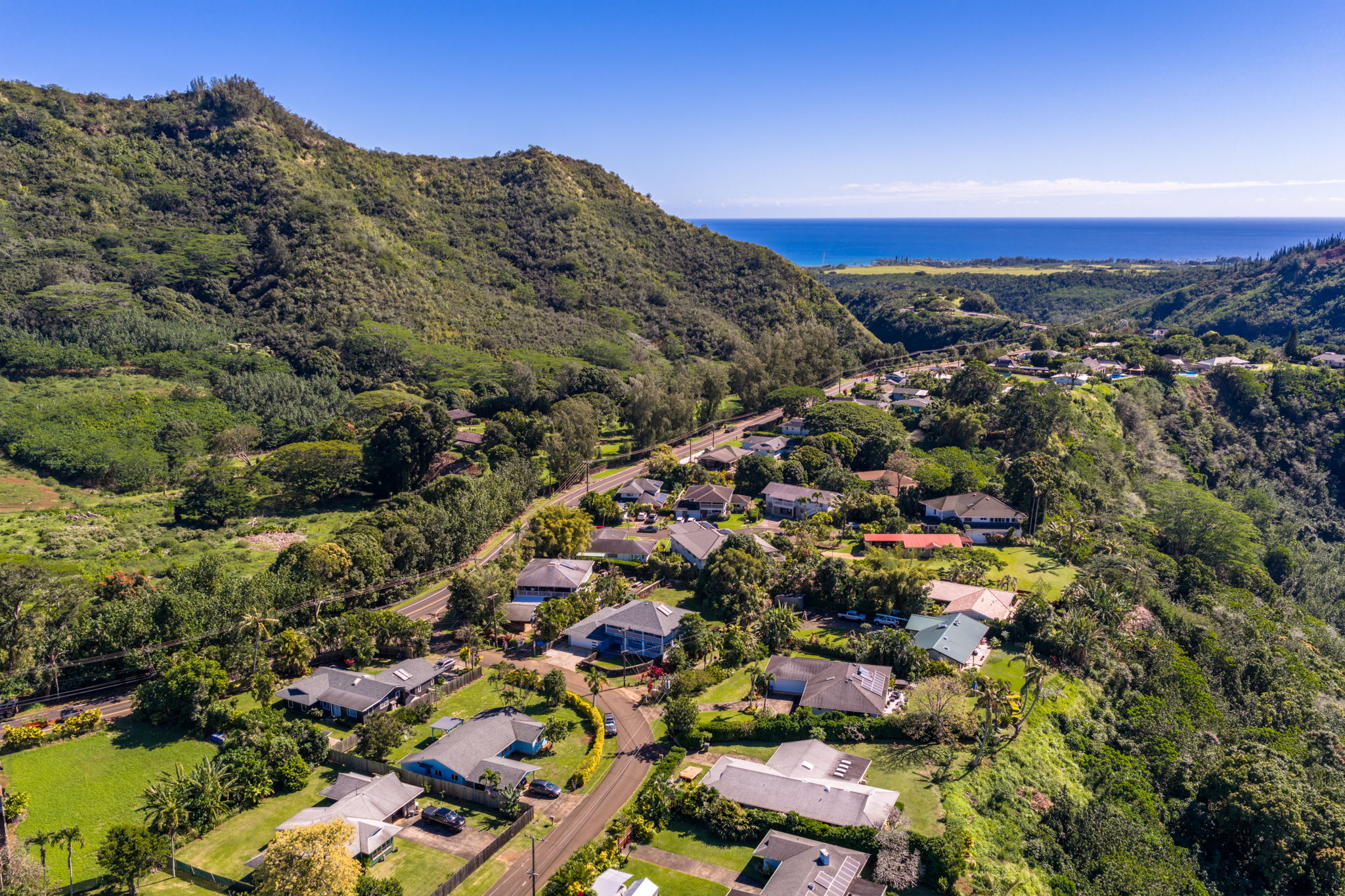 5611 Ohelo Road Kapaa, HI 96746 - Photo 30 of 30 an aerial view of residential houses with outdoor space and trees