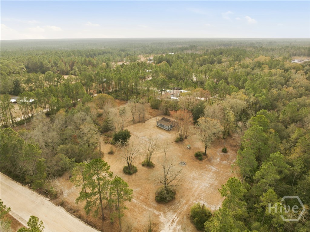 279 Outback Loop Hoboken, GA 31542 - Photo 32 of 32