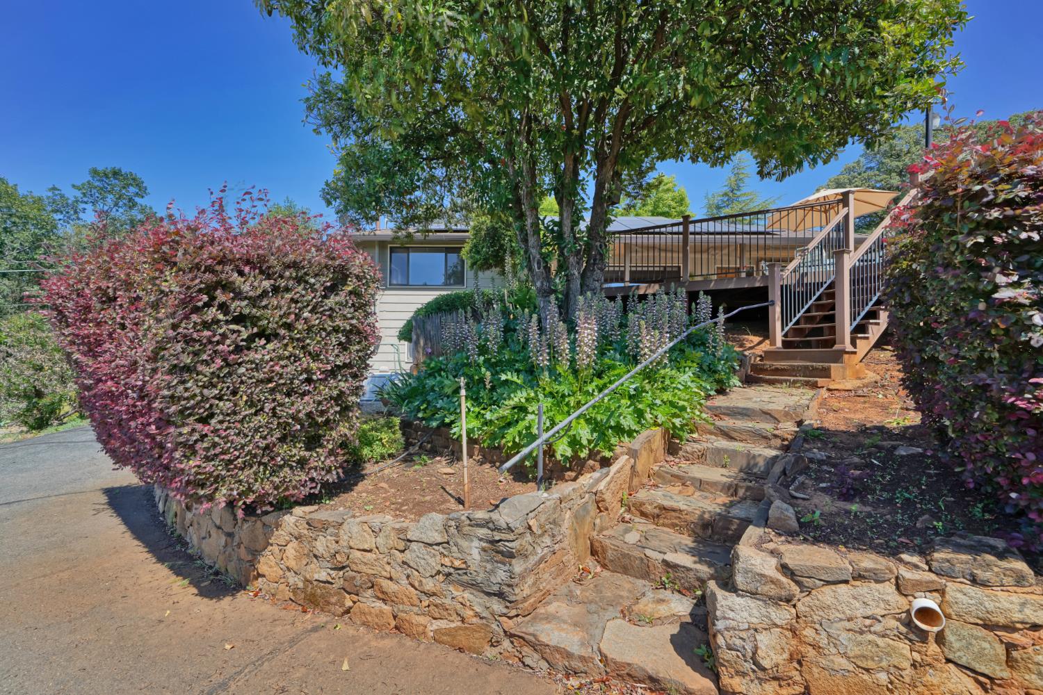 2564 Baker Road Placerville, CA 95667 - Photo 8 of 16
