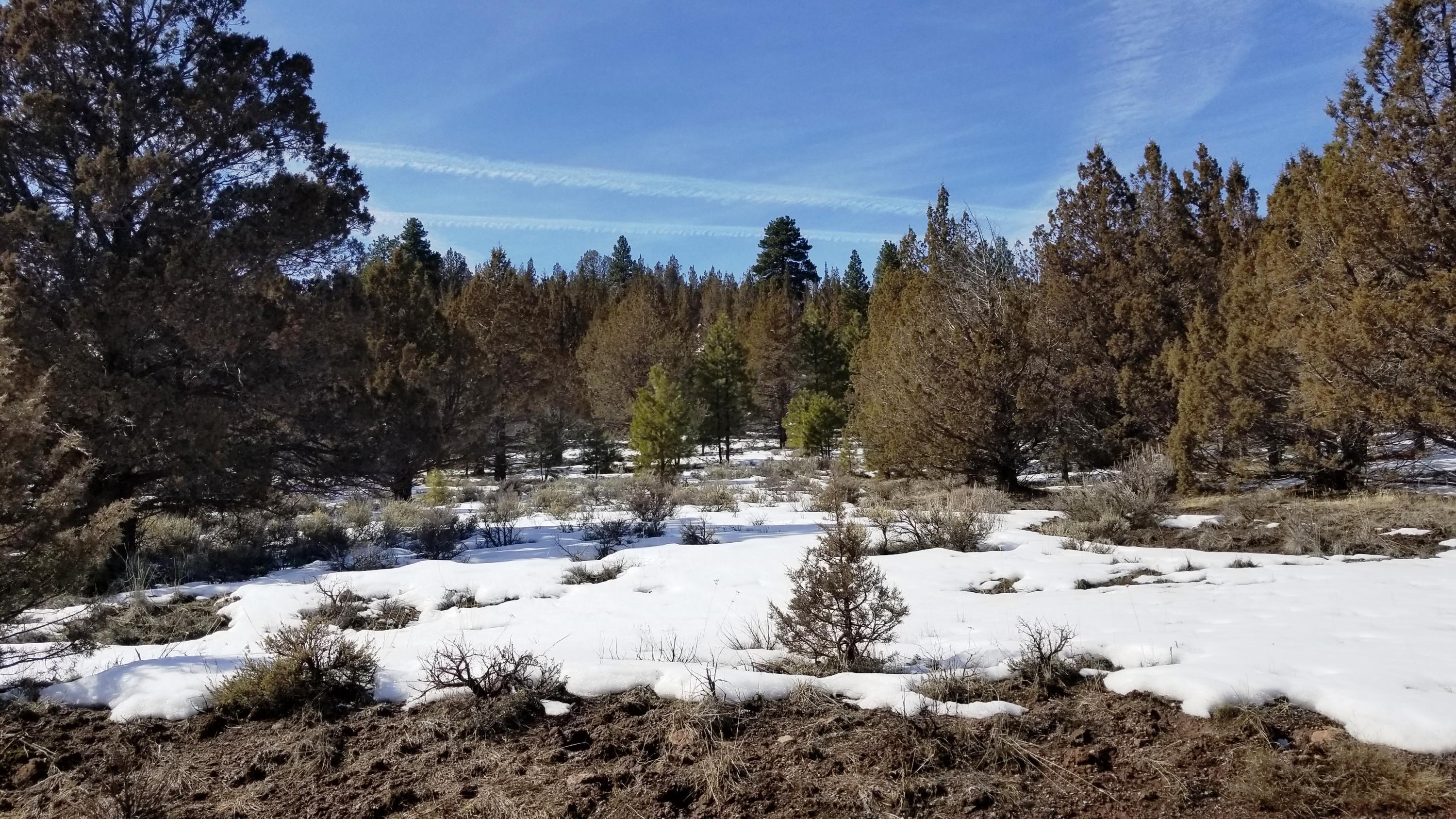0 Yellow Jacket Springs Beatty, OR 97621 - Photo 6 of 6 20190314_135754