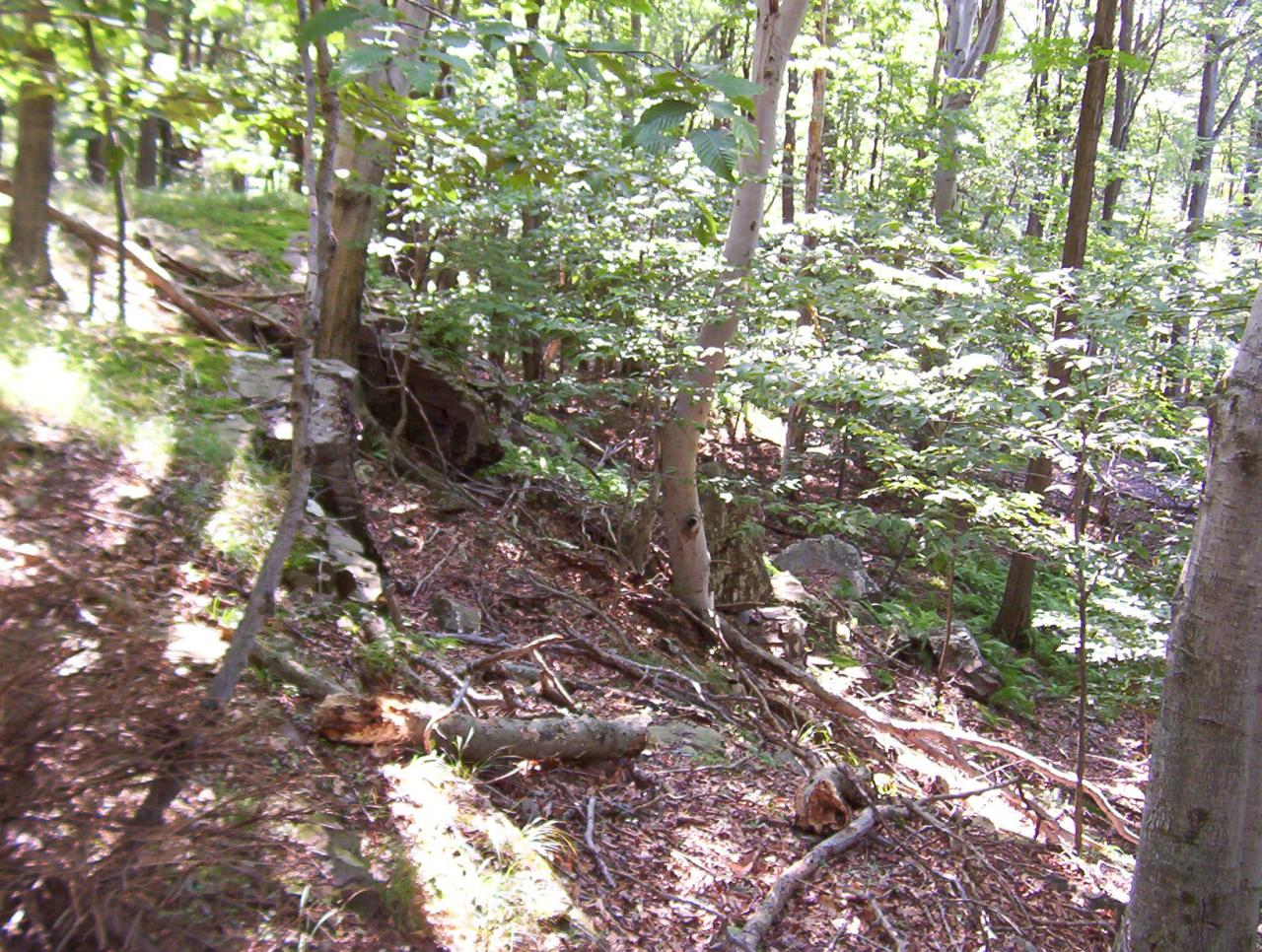 11 Willow Run Road Newfoundland, PA 18445 - Photo 8 of 15 On Top of Bluff