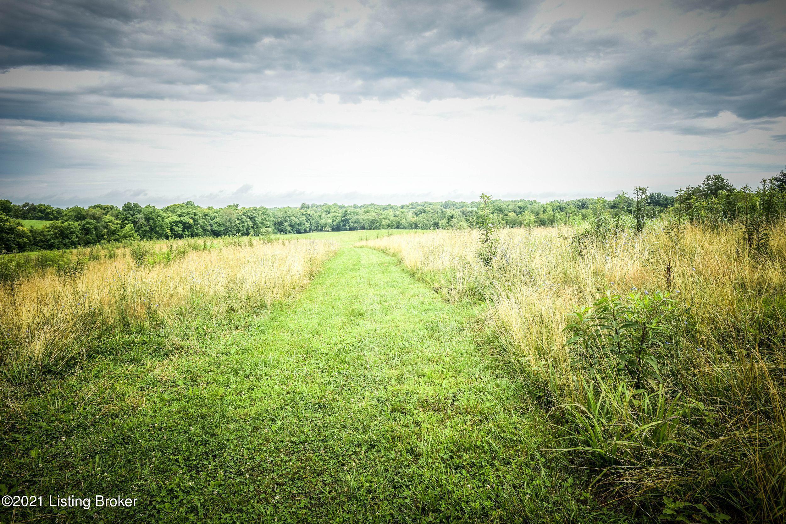 4740 Bloomfield Road Bardstown, KY 40004 - Photo 75 of 76 H1A6zzeA