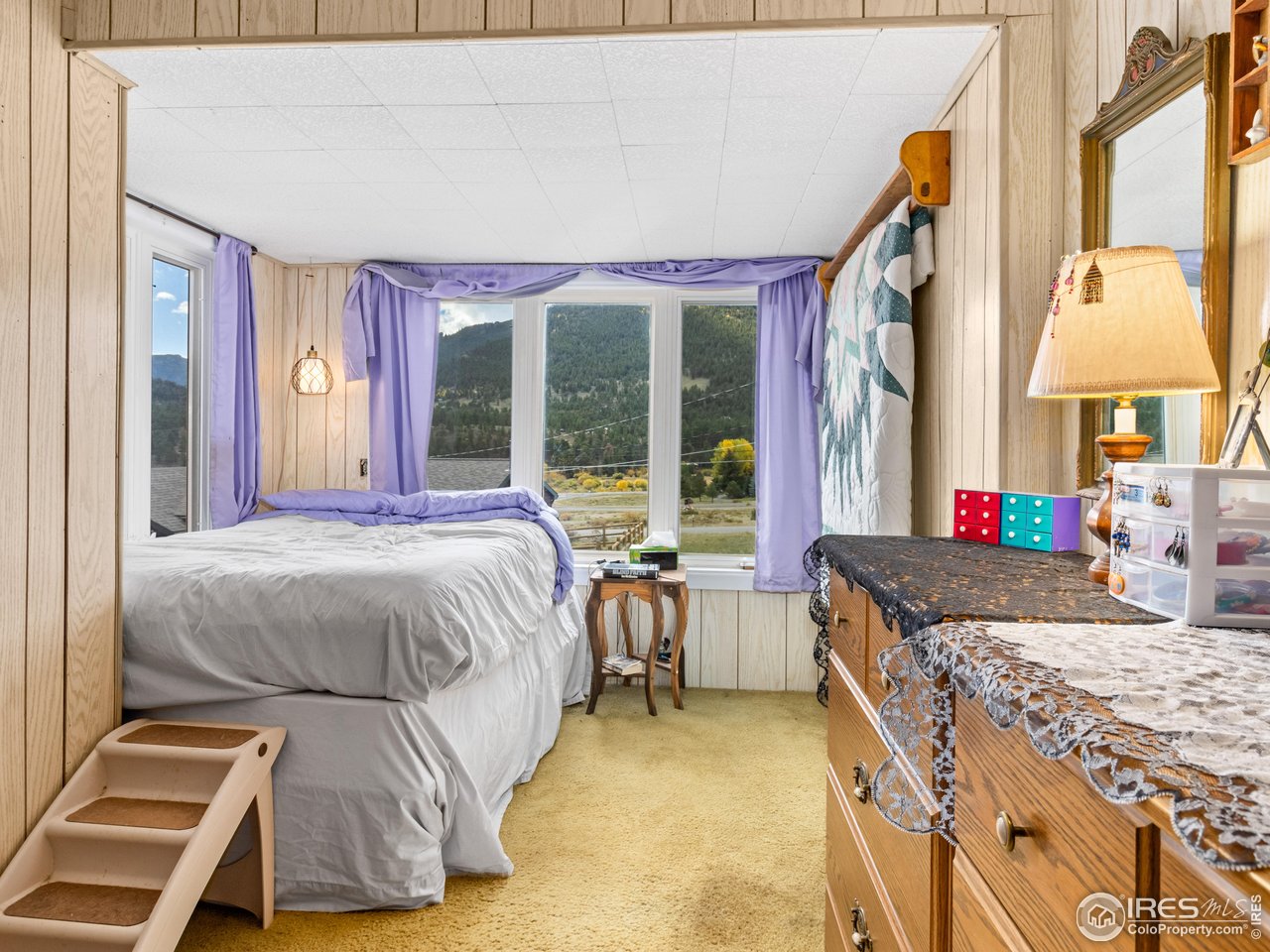 831 Larkspur Road Estes Park, CO 80517 - Photo 18 of 32 Second bedroom with stunning views of the mountains