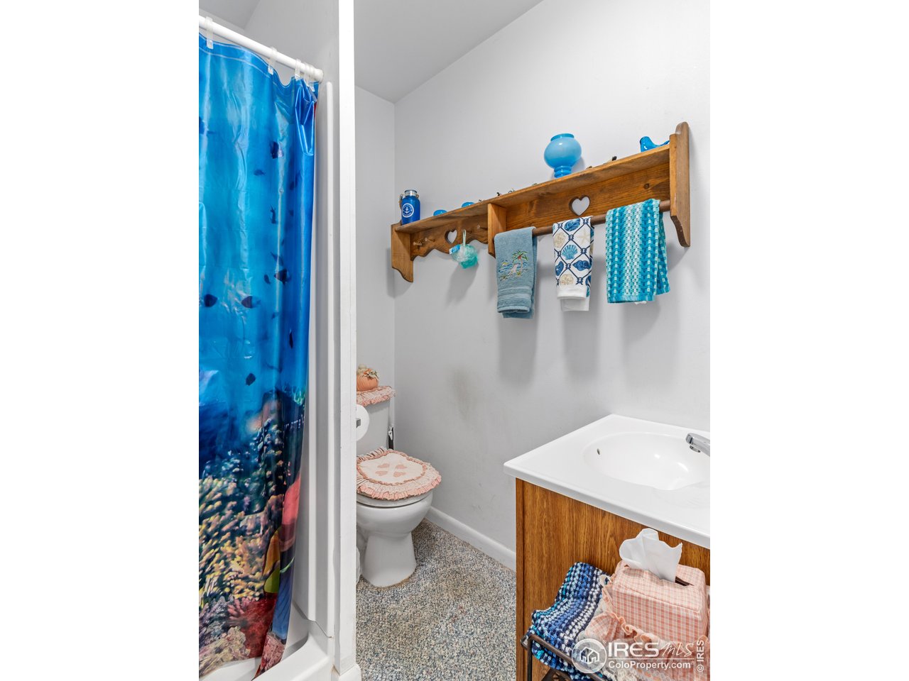 831 Larkspur Road Estes Park, CO 80517 - Photo 22 of 32