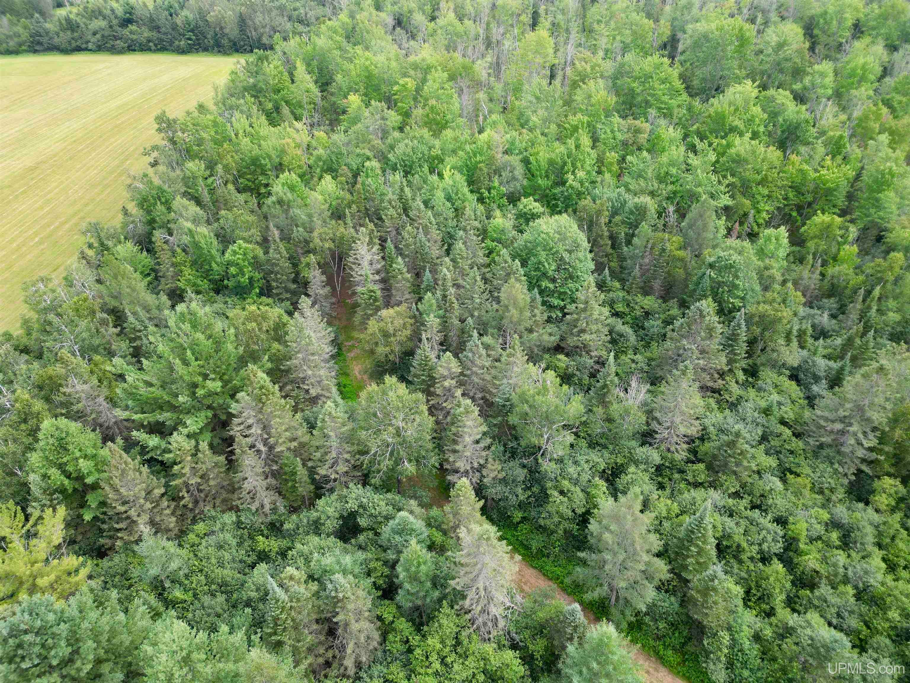 1509 8th Road Bark River, MI 49807 - Photo 12 of 36 Gallery Image 12