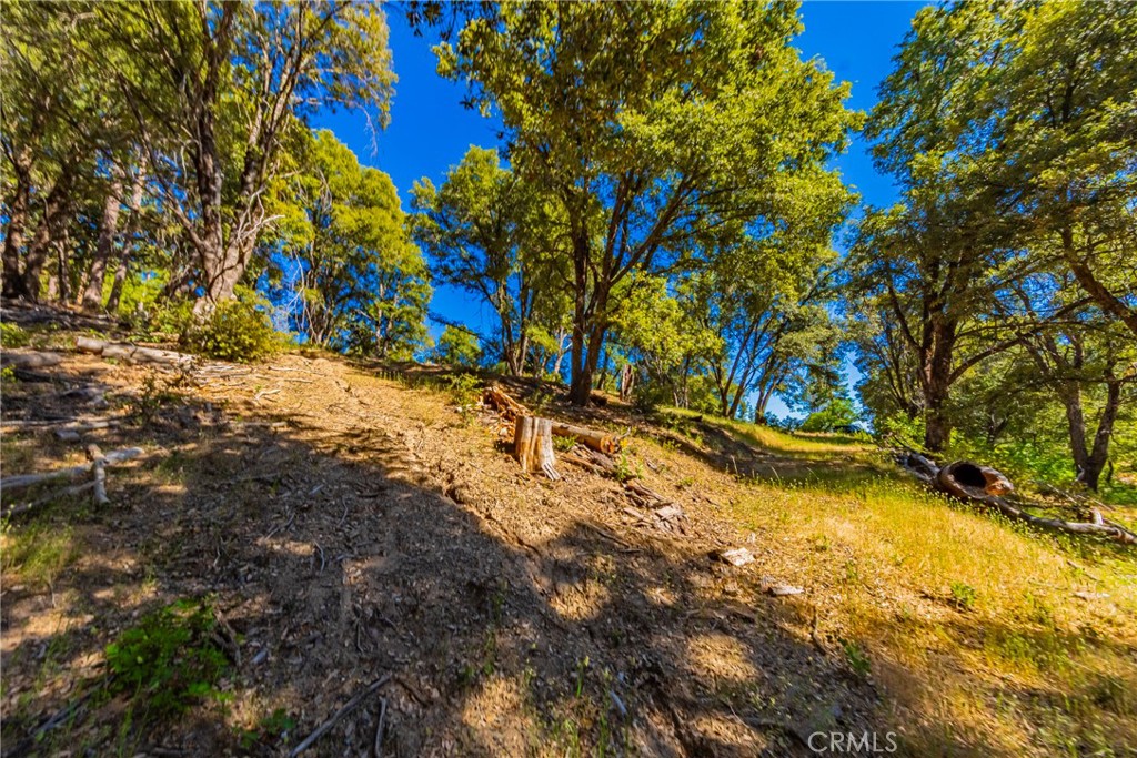 0 3 Springs Road Oakhurst, CA 93644 - Photo 7 of 20
