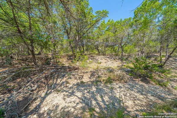 a backyard of a house with plants and outdoor seating