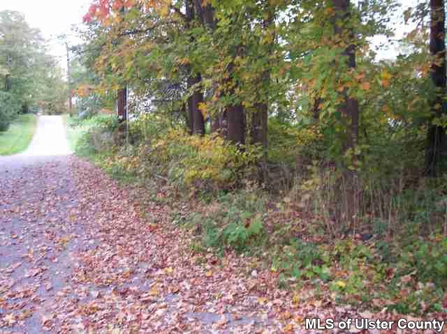215 South Riverside Road Highland, NY 12528 - Photo 1 of 4 a big yard with lots of green space and plants